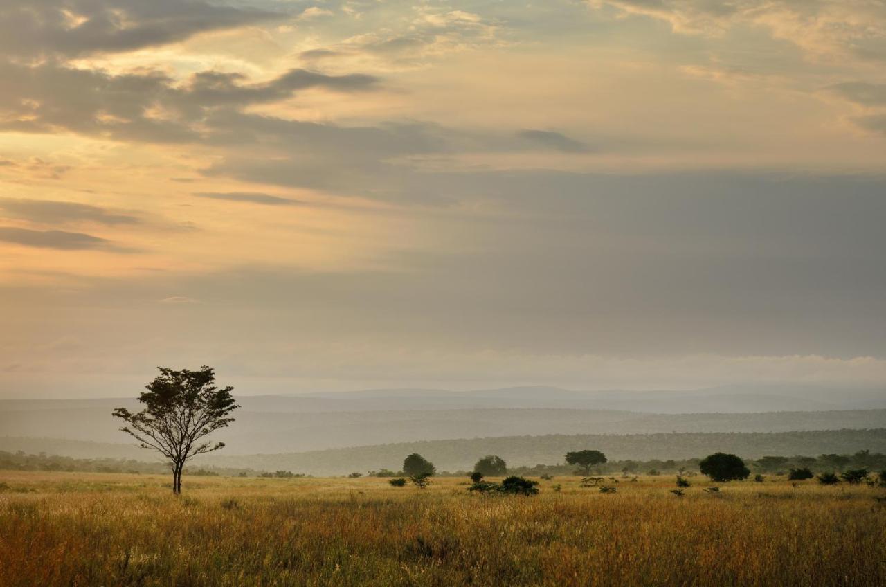 שמורת הצייד ולחפונדן Makweti Safari Lodge מראה חיצוני תמונה