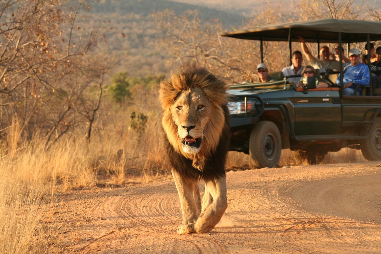 שמורת הצייד ולחפונדן Makweti Safari Lodge מראה חיצוני תמונה