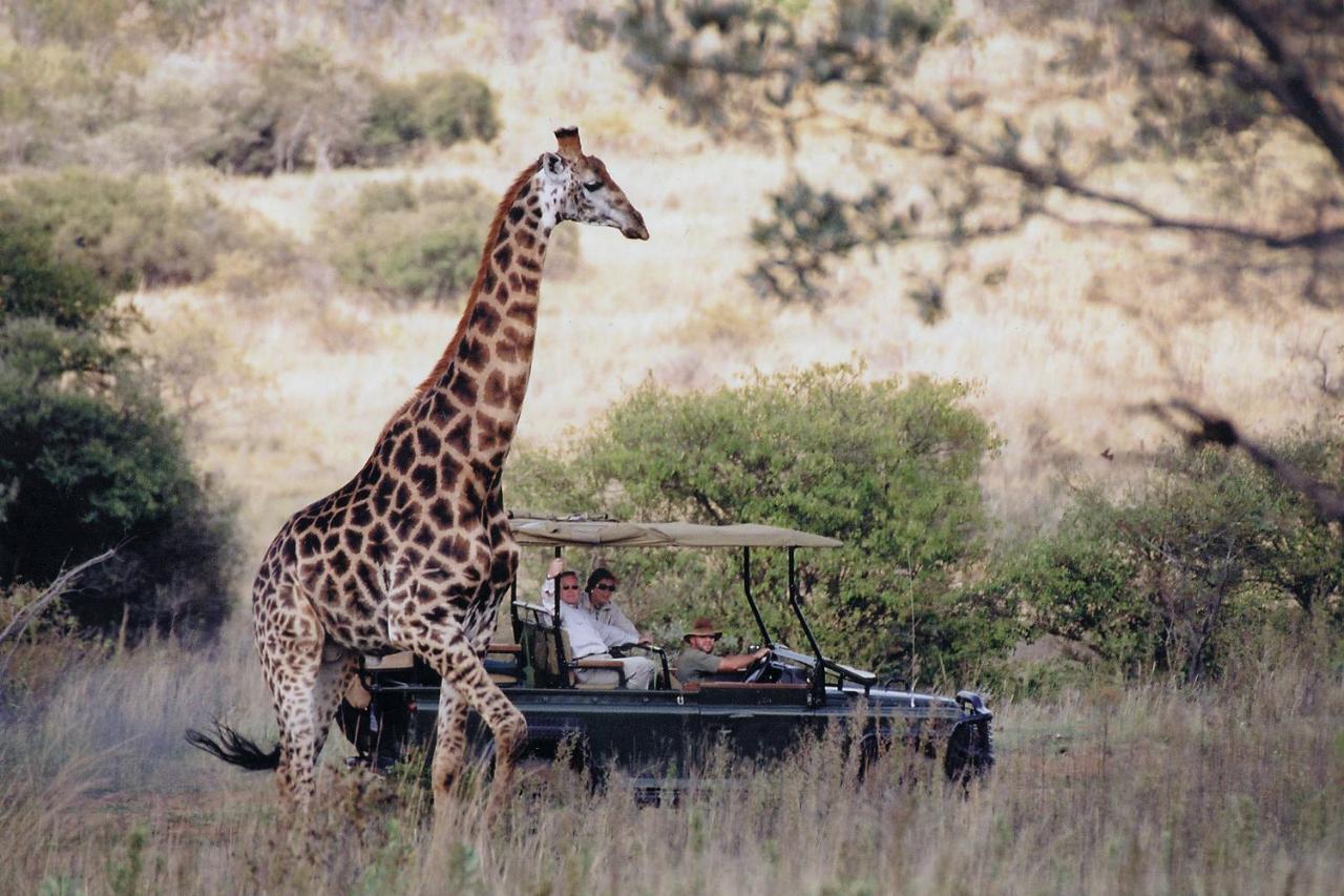 שמורת הצייד ולחפונדן Makweti Safari Lodge מראה חיצוני תמונה